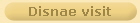 Disnae visit