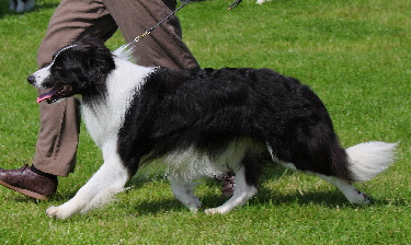 Seamus Seamus